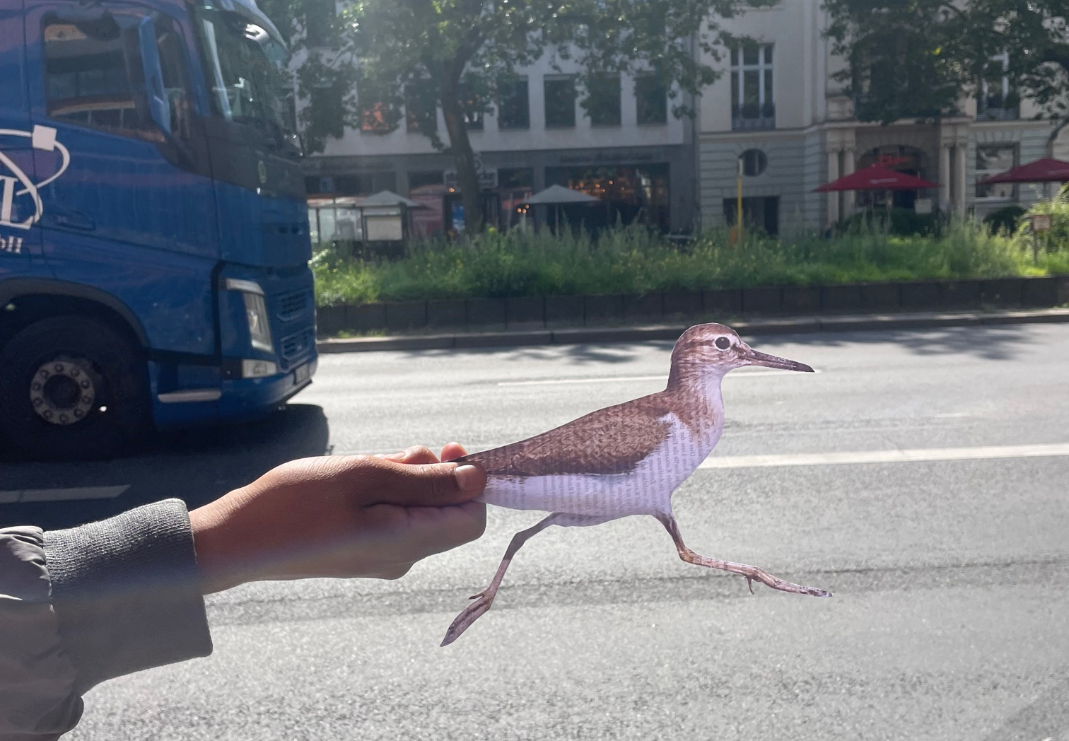 Better Safe Than Sorry (Sicher ist sicher!)