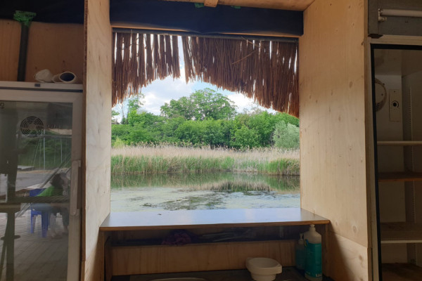 Thumbnail for Climate Justice in Urban Space