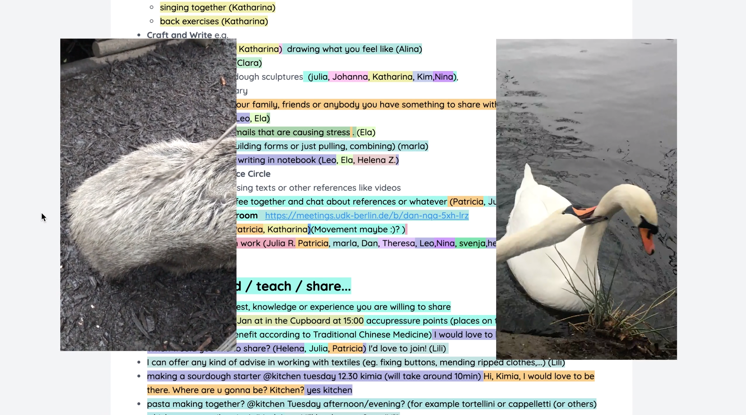 Kollisionen 2021: Climate Supporter‘s Support Group