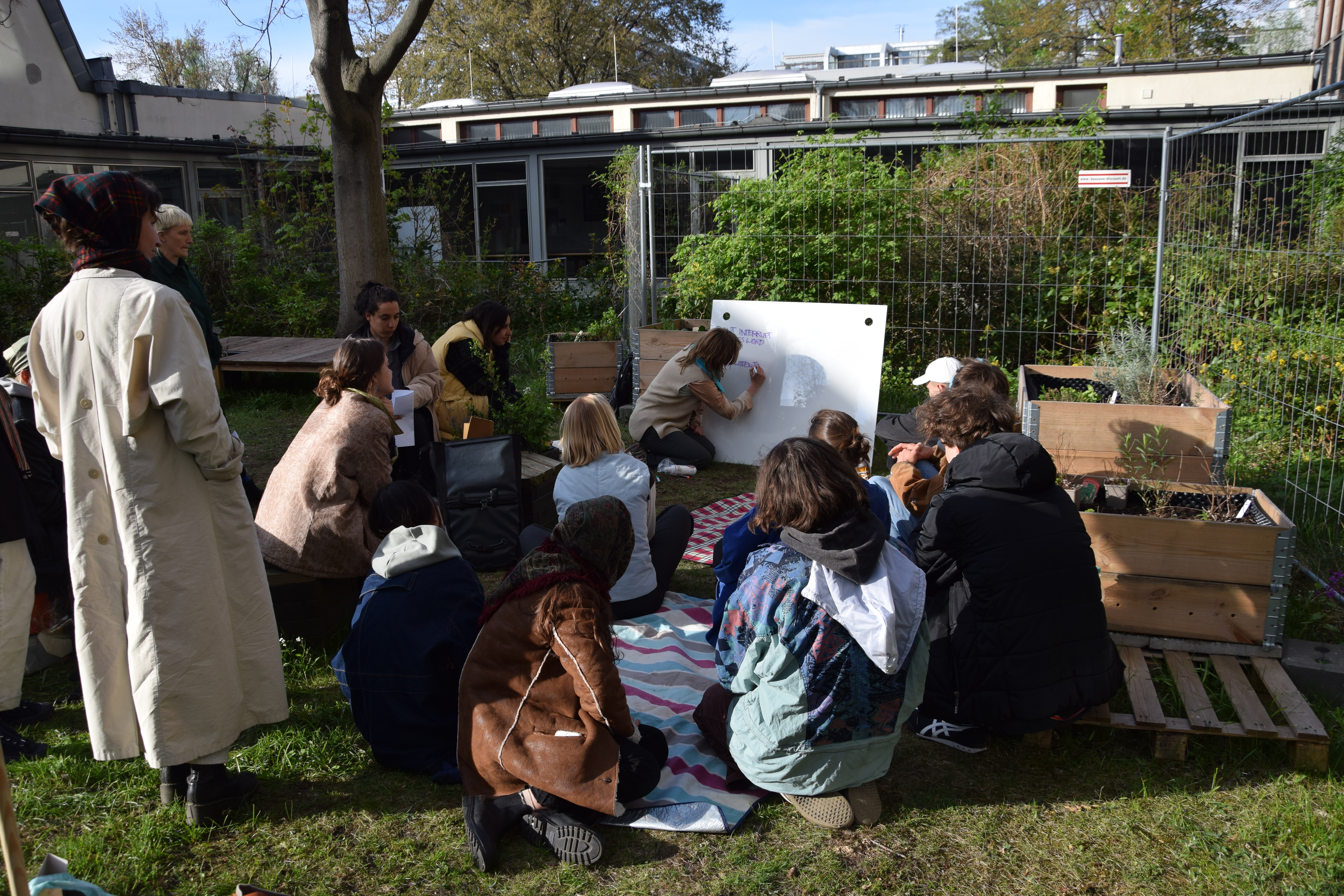 green growth? growing greens!