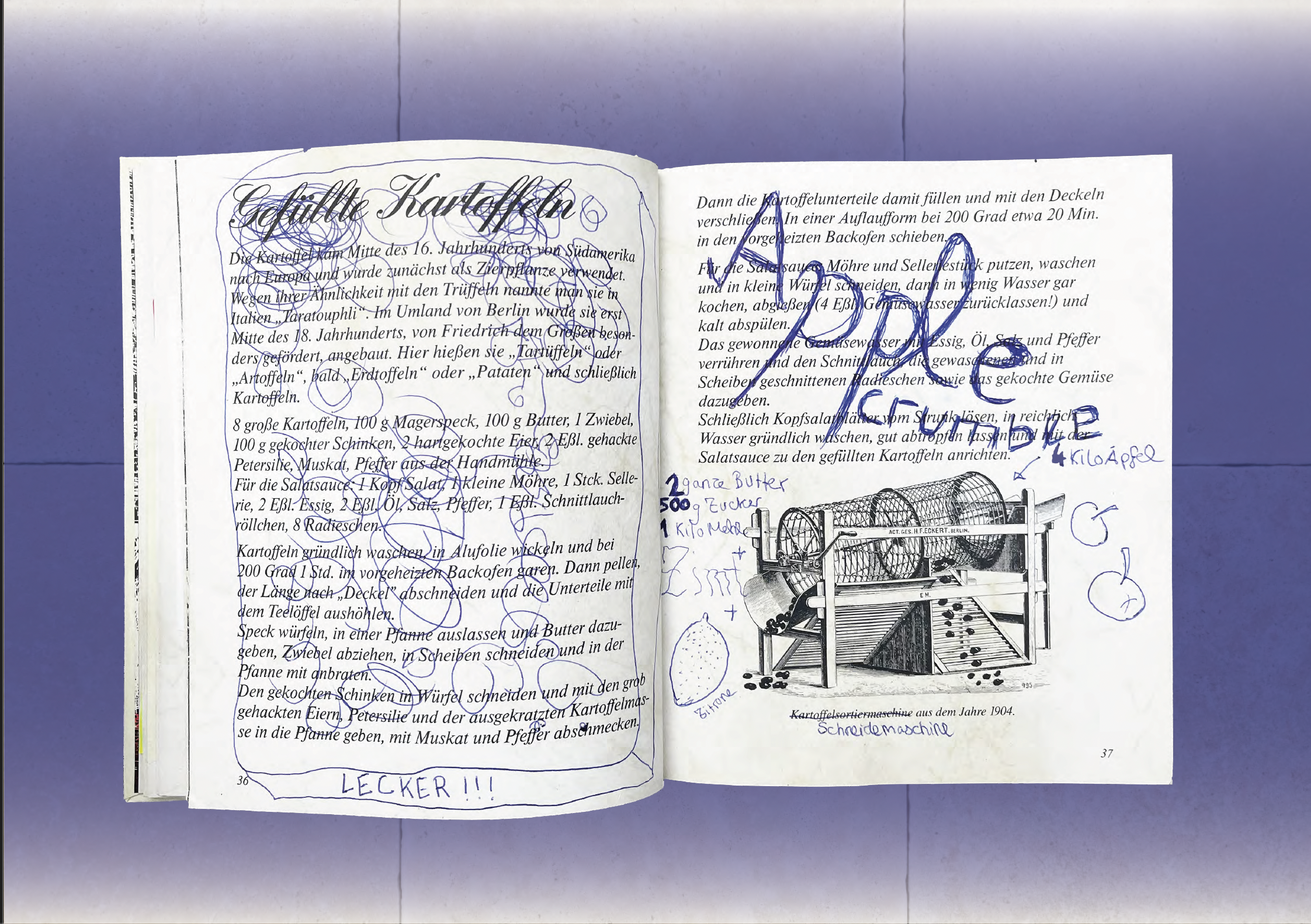 Klasse Klima Kochbuch