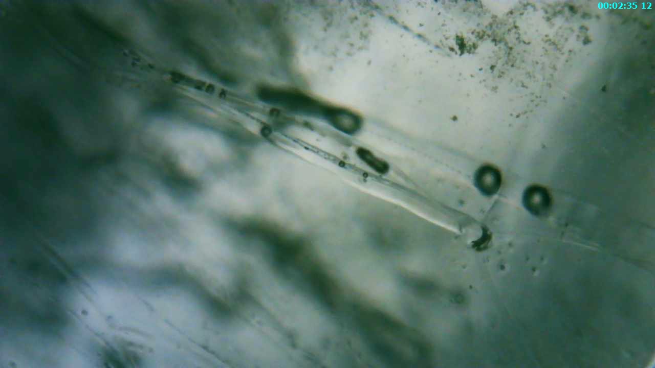 Microscopic imagery of melting ice