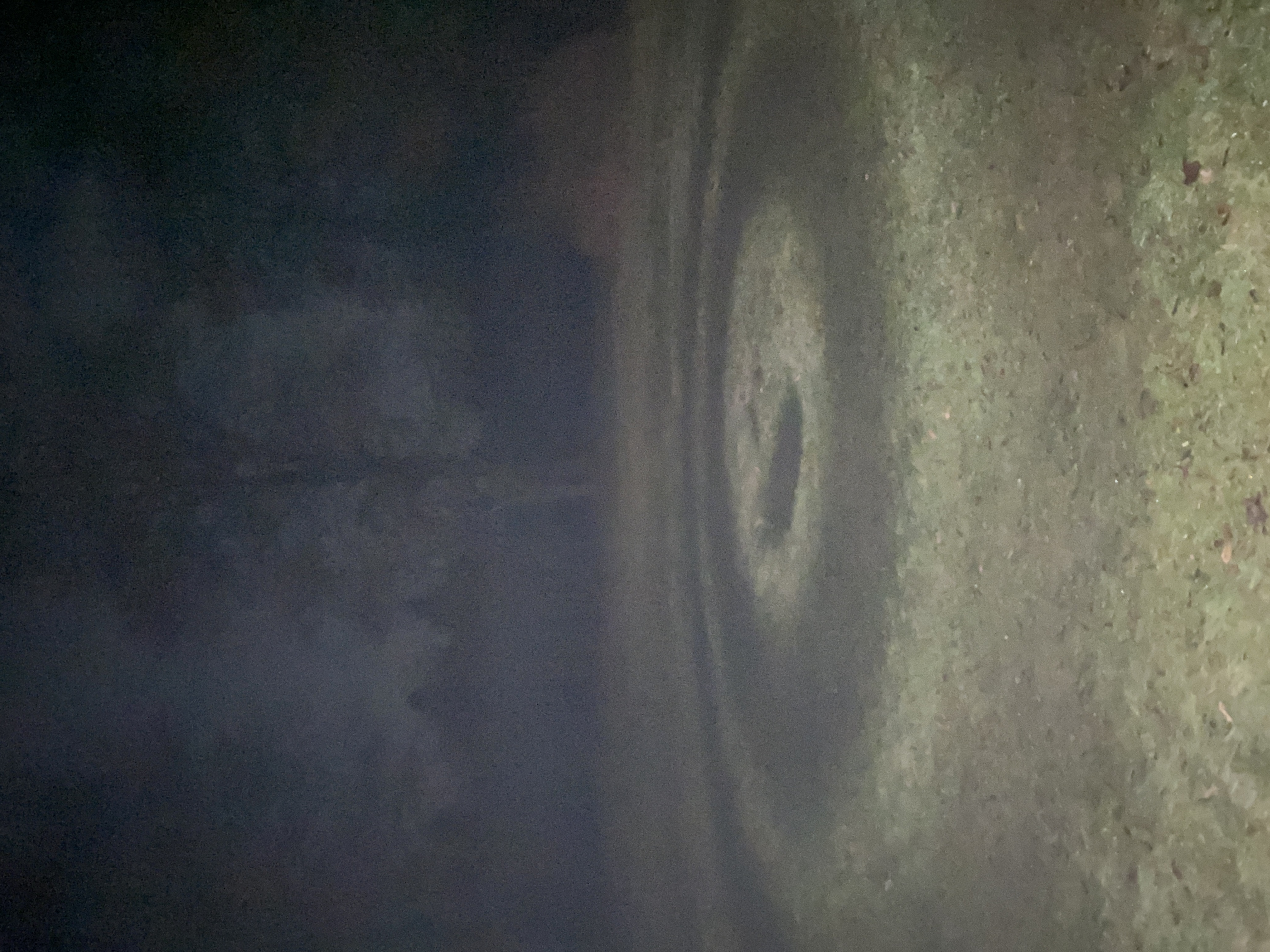 Planetare Performance