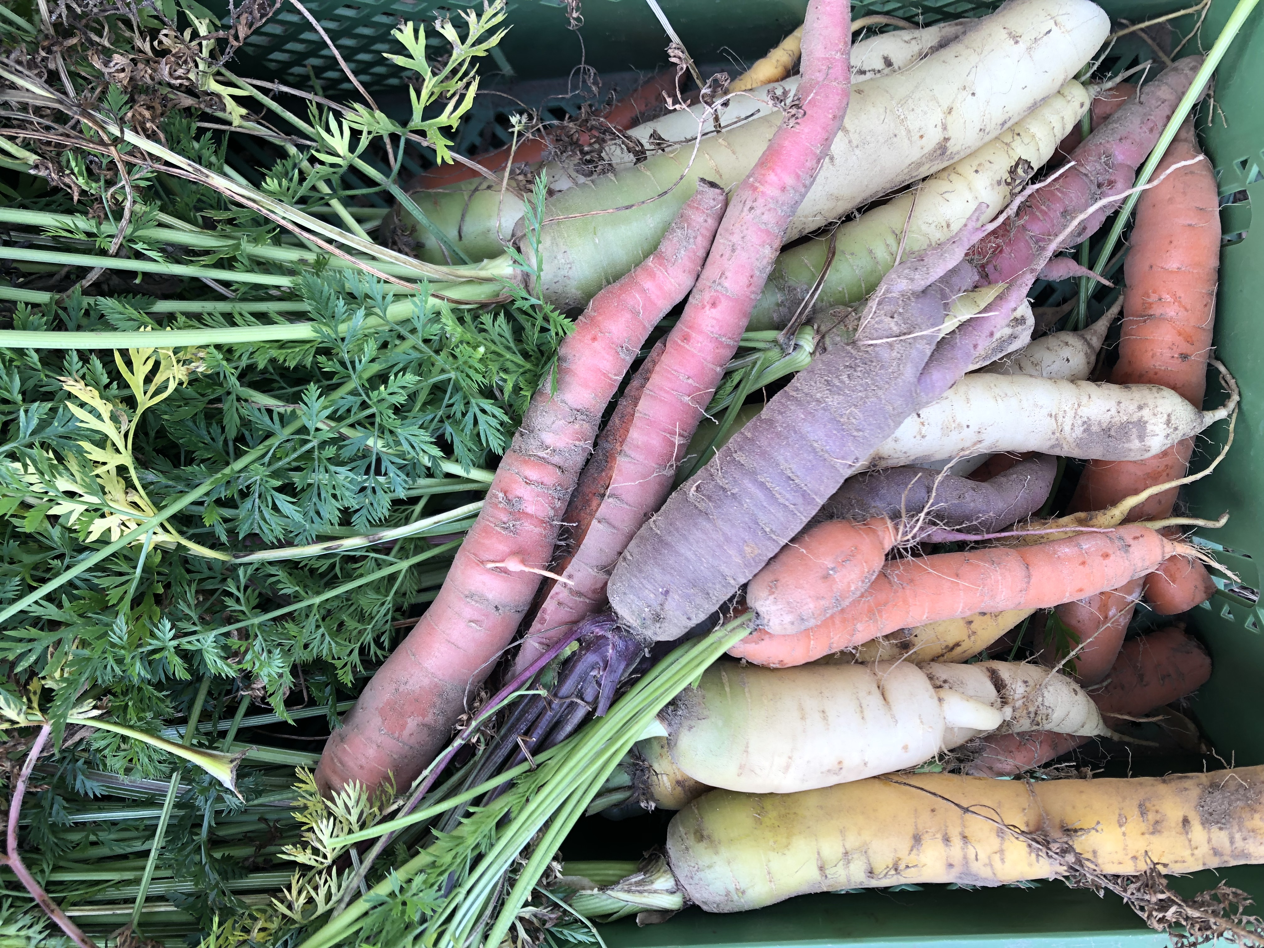 Residency at Stechlin Institut