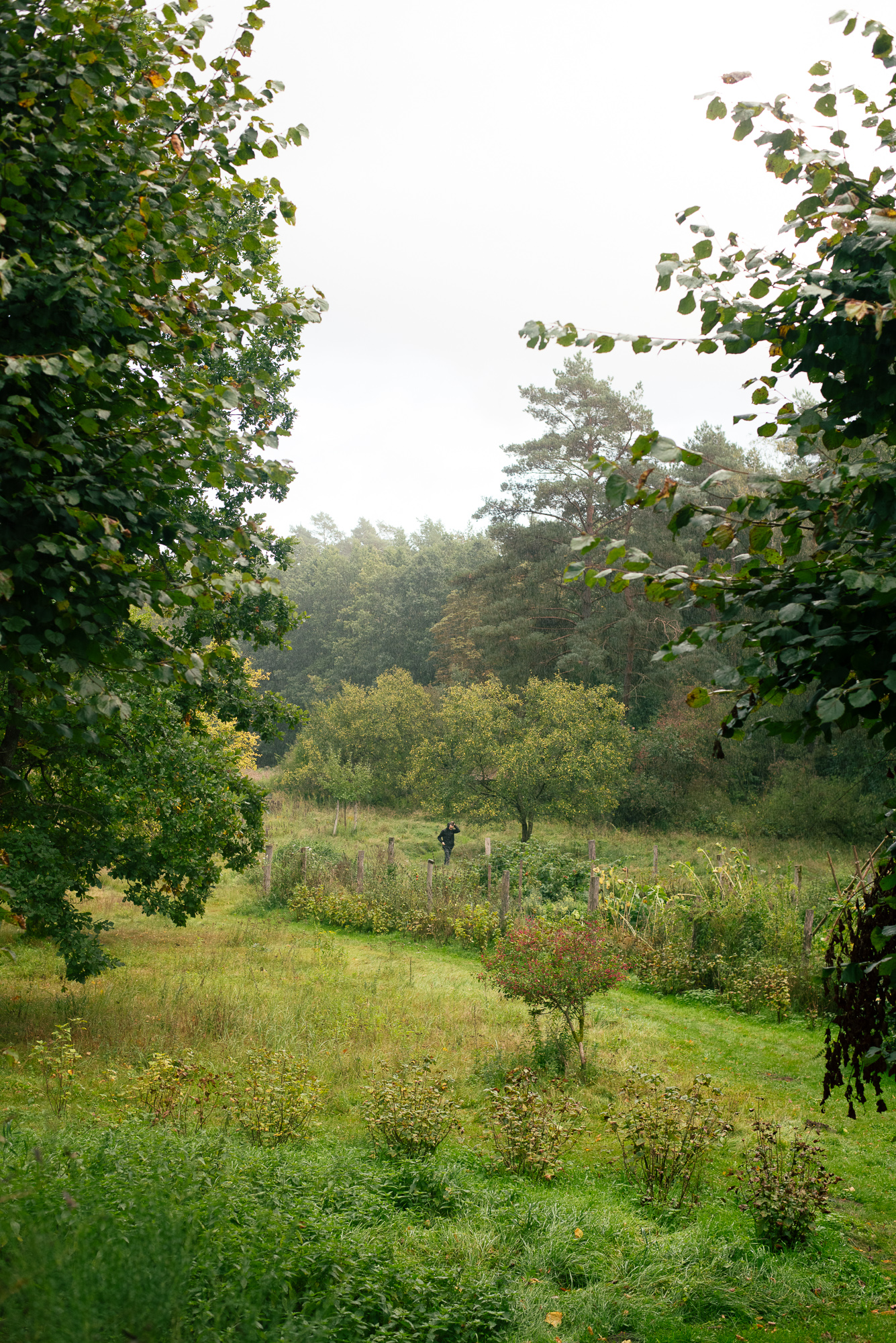 Residency at Stechlin Institut