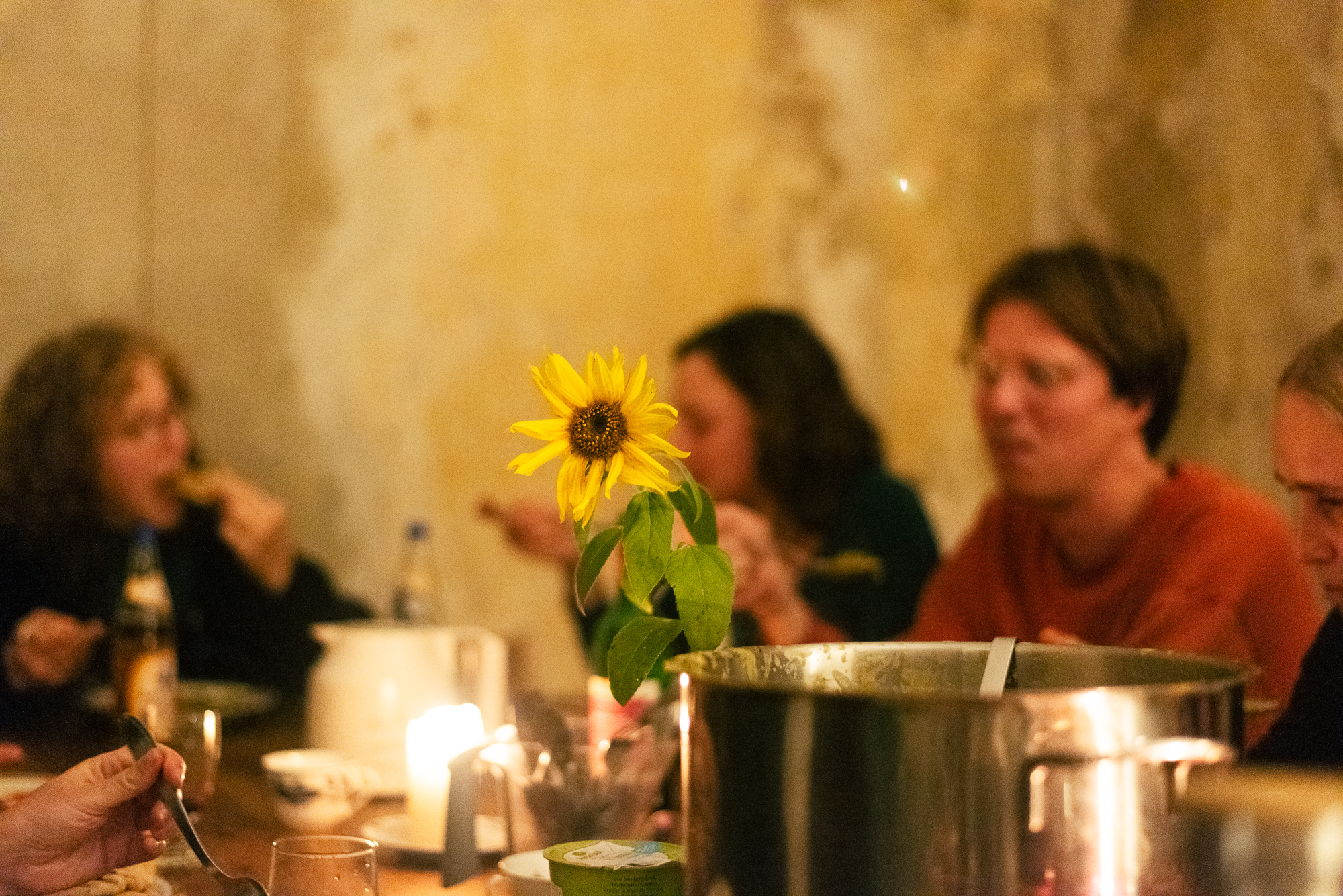 Residency at Stechlin Institut