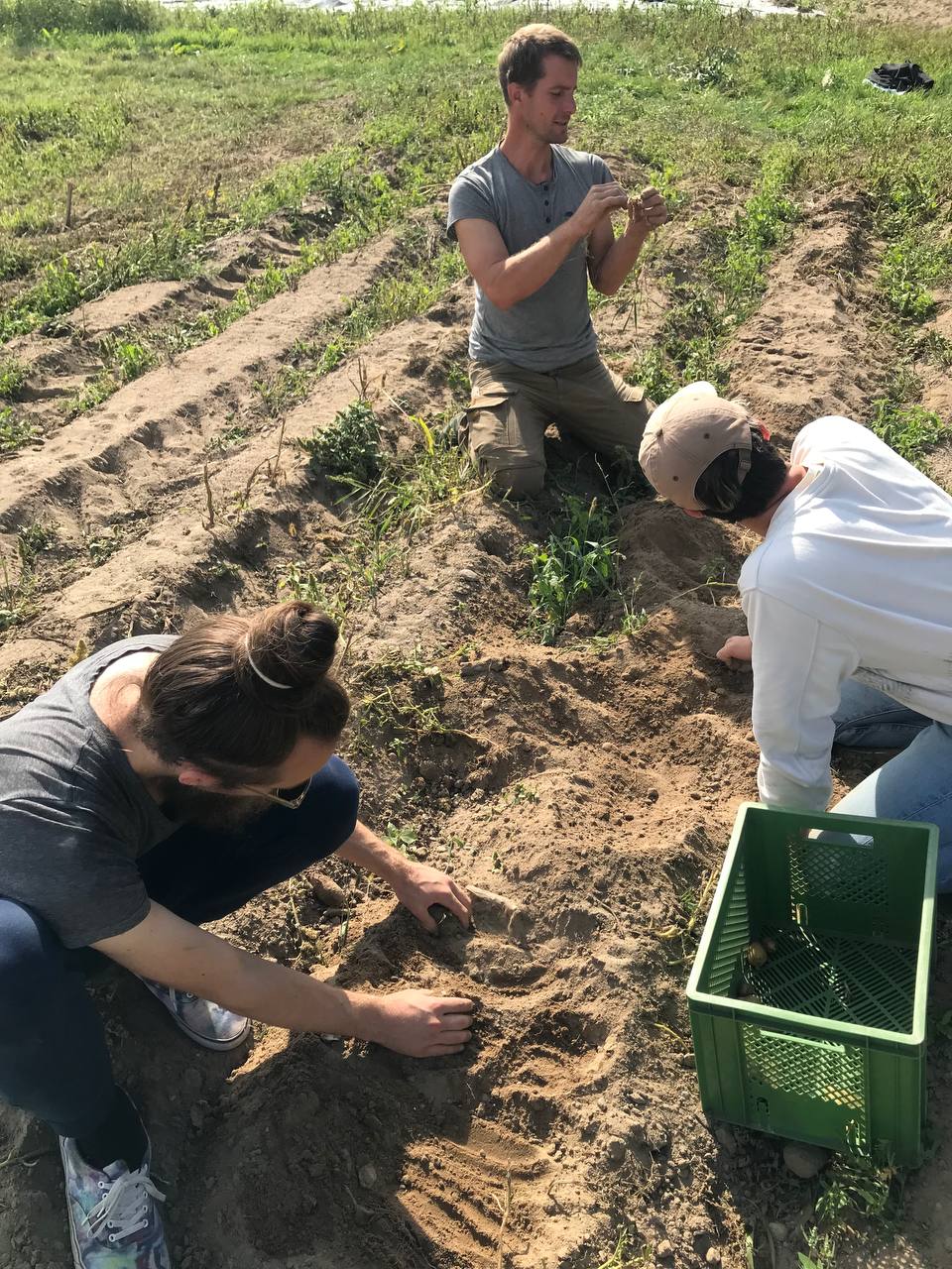 Residency at Stechlin Institut