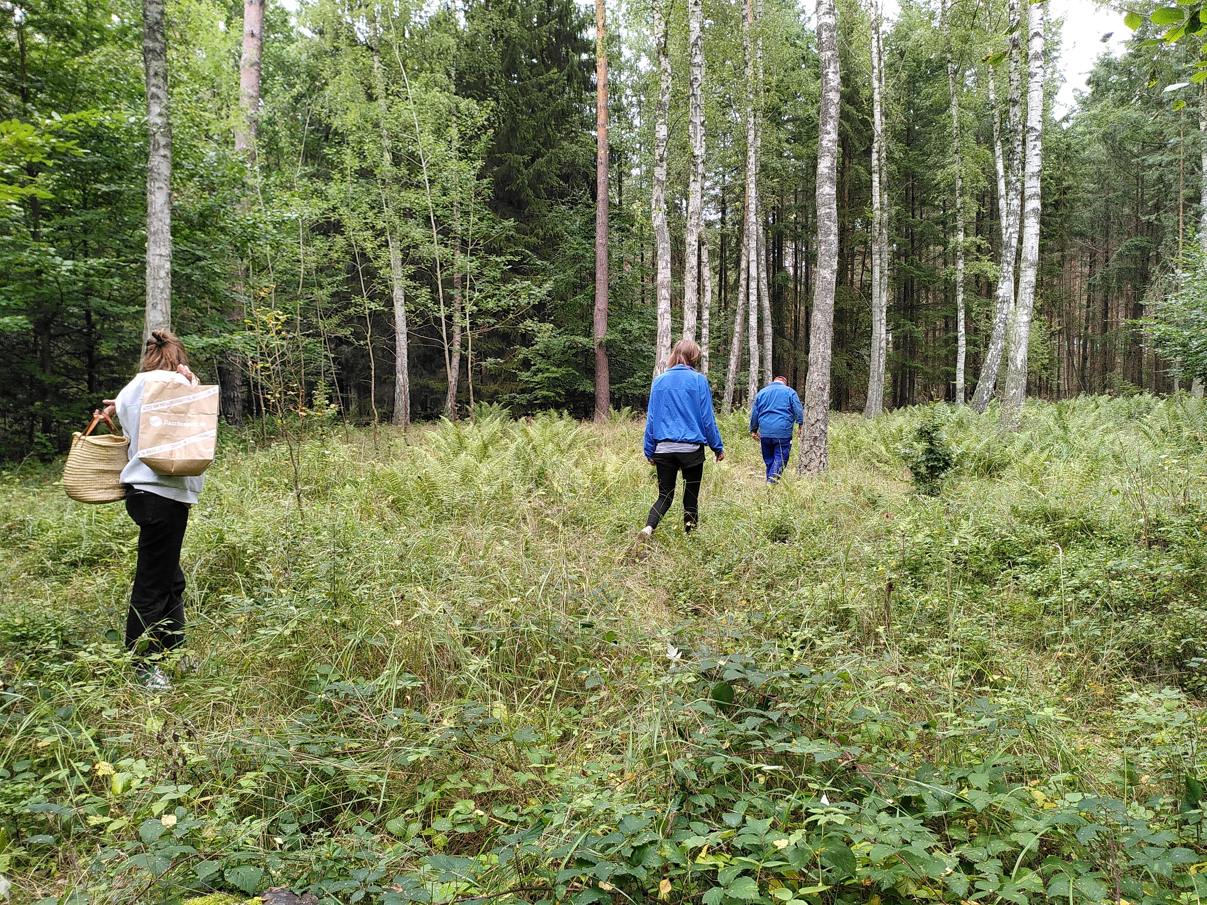 Residency at Stechlin Institut