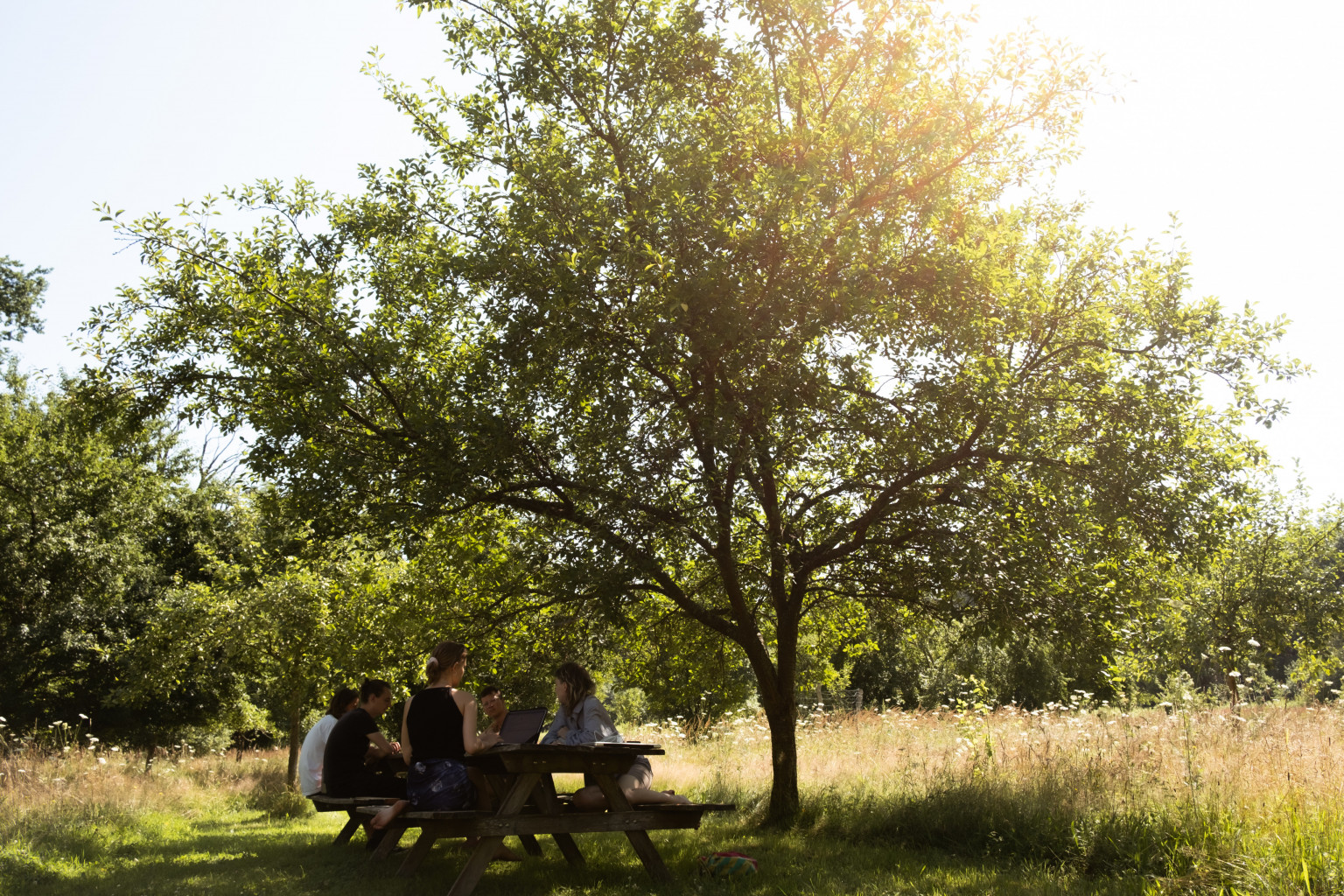 Residency at Stechlin Institut