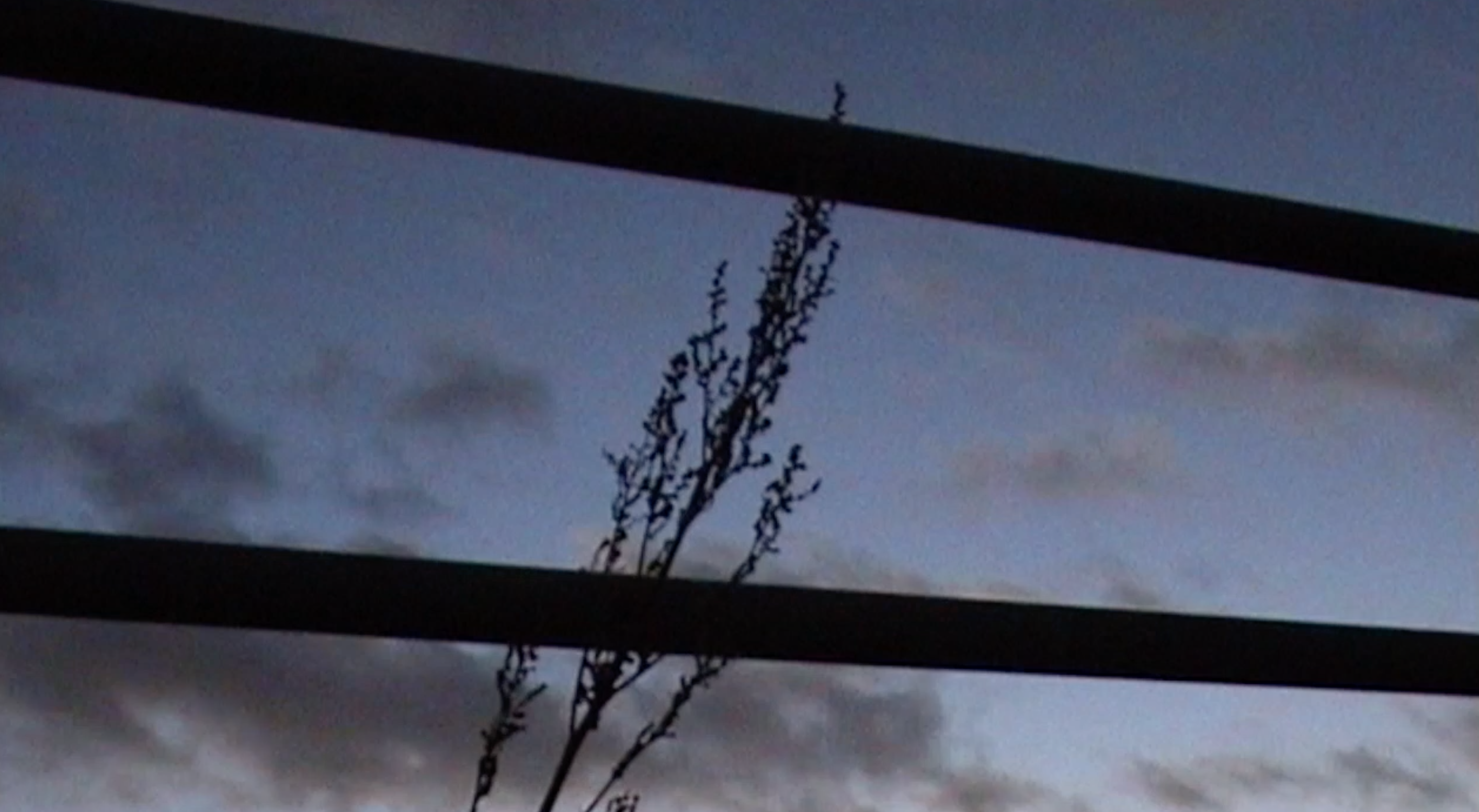 temporalities & tenderness