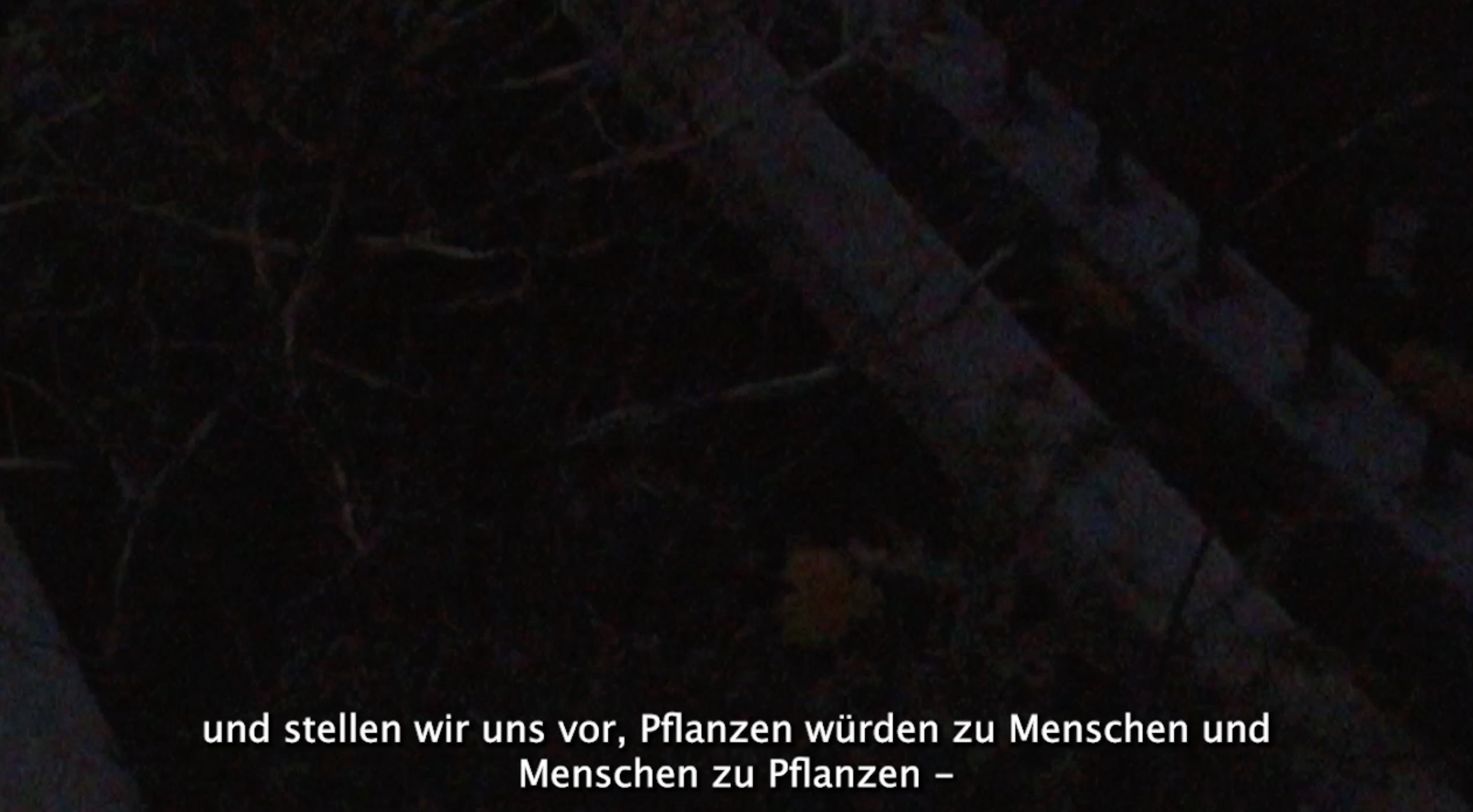 temporalities & tenderness