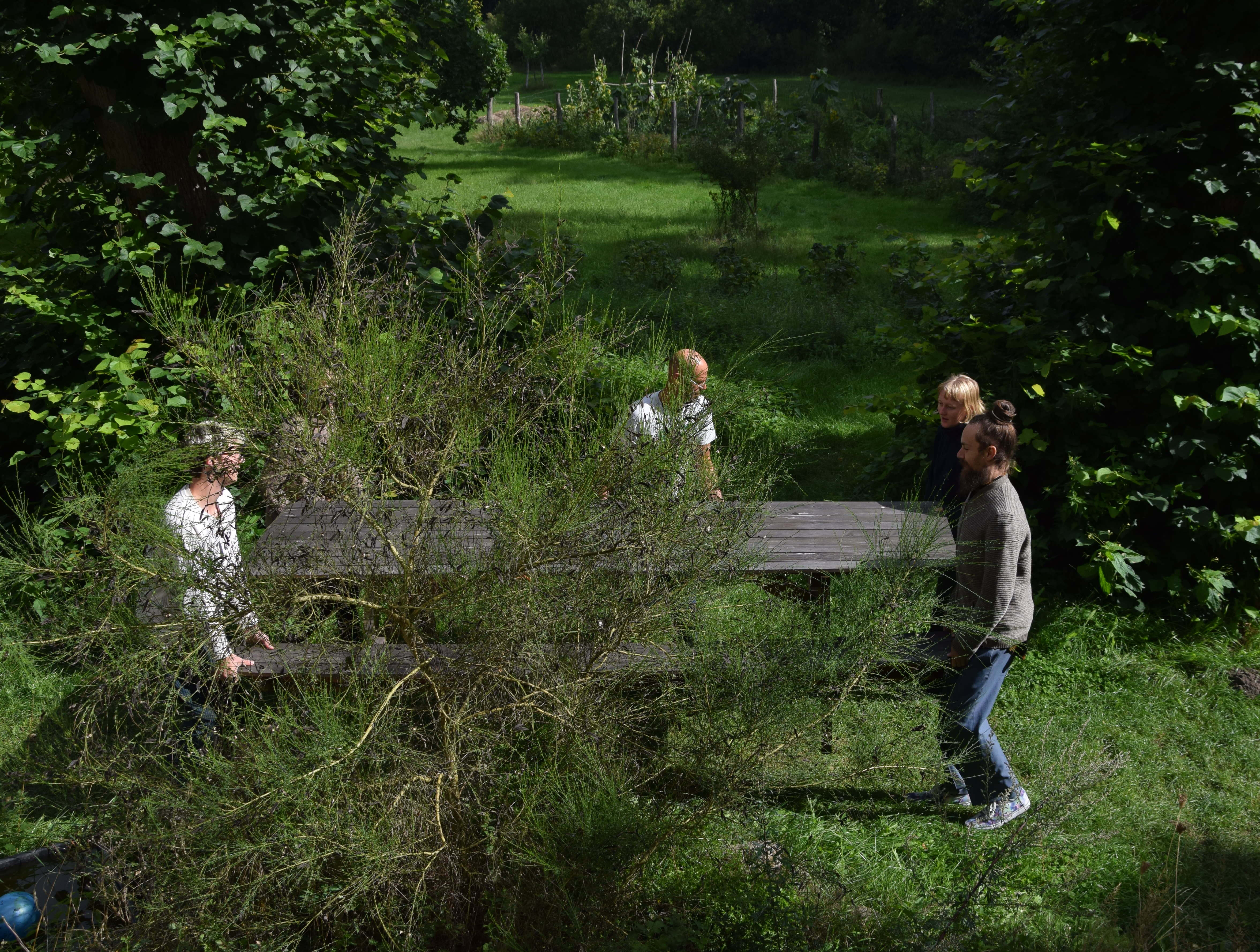 wild weekend institut